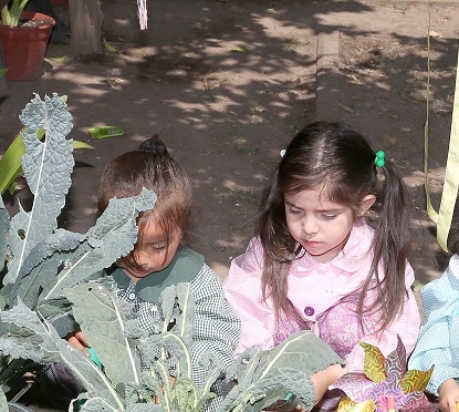 Siembra Cambio: “Los niños deben recibir educación medioambiental”