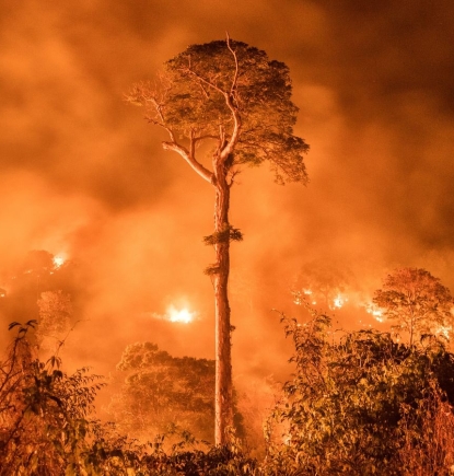 Nuevamente los incendios forestales asolan Chile