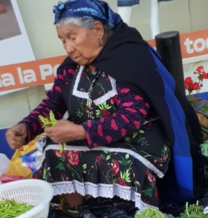 Lo que dice de Chile la Encuesta Nacional Bicentenario