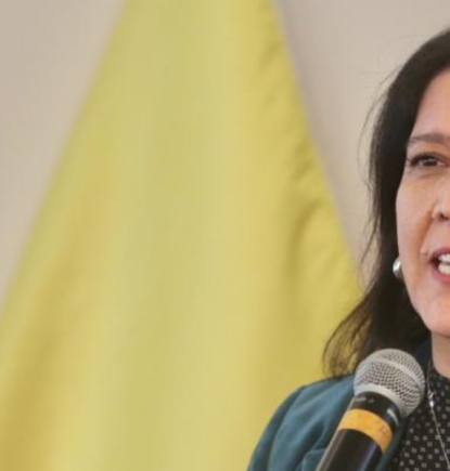 ¿Dónde Envejecer?: Un modelo de atención domiciliaria de calidad